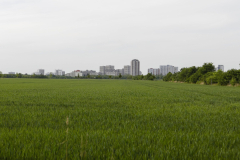 Strasse_Rudowerallee_Schoenefeld_20220516-2-scaled